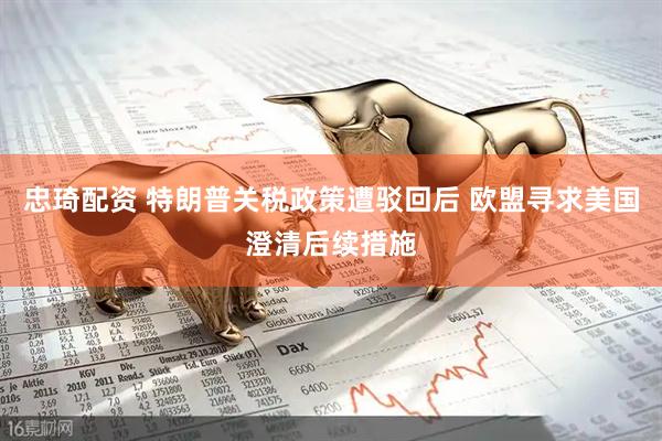 忠琦配资 特朗普关税政策遭驳回后 欧盟寻求美国澄清后续措施