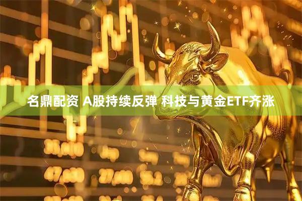 名鼎配资 A股持续反弹 科技与黄金ETF齐涨