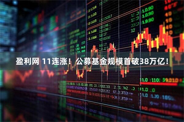 盈利网 11连涨！公募基金规模首破38万亿！