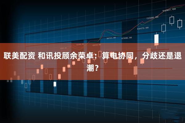 联美配资 和讯投顾余荣卓：算电协同，分歧还是退潮？
