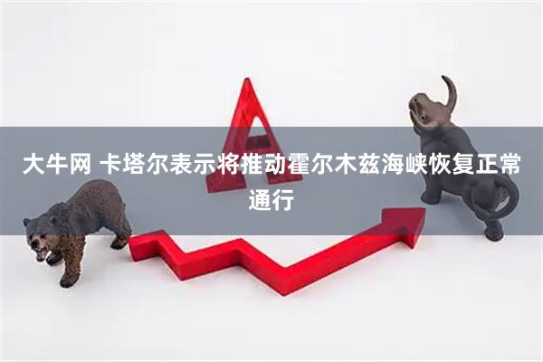 大牛网 卡塔尔表示将推动霍尔木兹海峡恢复正常通行