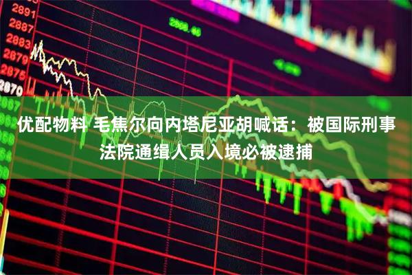 优配物料 毛焦尔向内塔尼亚胡喊话：被国际刑事法院通缉人员入境必被逮捕