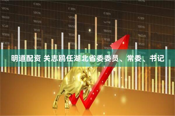 明道配资 关志鸥任湖北省委委员、常委、书记