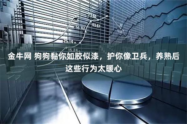 金牛网 狗狗黏你如胶似漆,护你像卫兵,养熟后这些行为太暖心