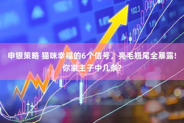 申银策略 猫咪幸福的6个信号,亮毛翘尾全暴露!你家主子中几条?