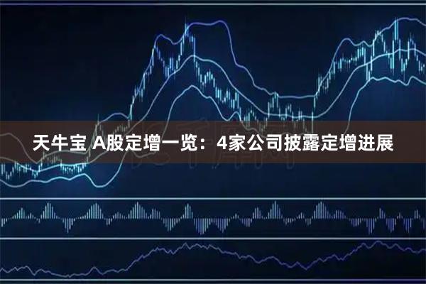 天牛宝 A股定增一览：4家公司披露定增进展
