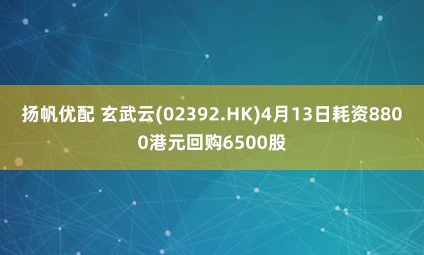 扬帆优配 玄武云(02392.HK)4月13日耗资8800港元回购6500股