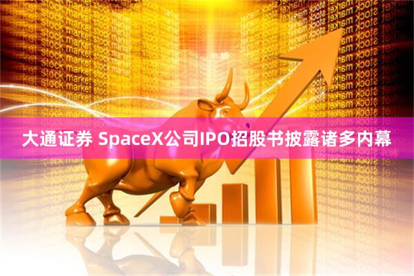 大通证券 SpaceX公司IPO招股书披露诸多内幕