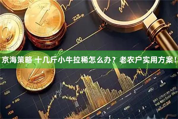 京海策略 十几斤小牛拉稀怎么办？老农户实用方案！
