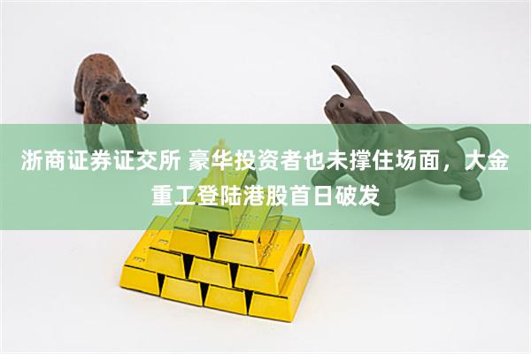 浙商证券证交所 豪华投资者也未撑住场面，大金重工登陆港股首日破发