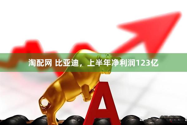 淘配网 比亚迪，上半年净利润123亿