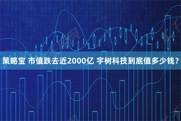 策略宝 市值跌去近2000亿 宇树科技到底值多少钱？